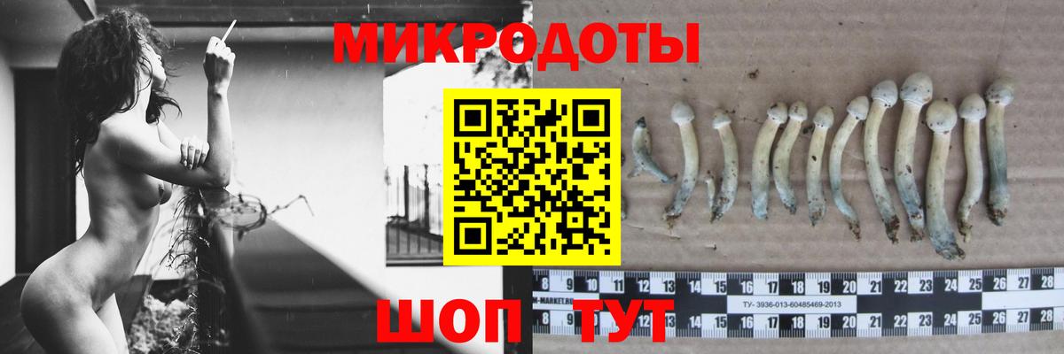Псилоцибиновые грибы MAGIC MUSHROOMS  Псилоцибиновые грибы GOLDEN TEACHER  Октябрьский  Вход с VPN 
