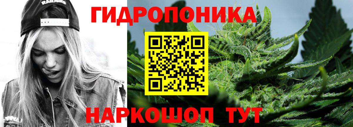 МАРИХУАНА планчик Октябрьский